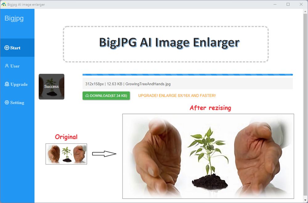 BigJPG AI Image Enlarger